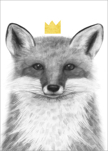 Poster Kunglig räv