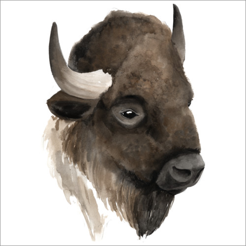 Poster Buffalo portrait