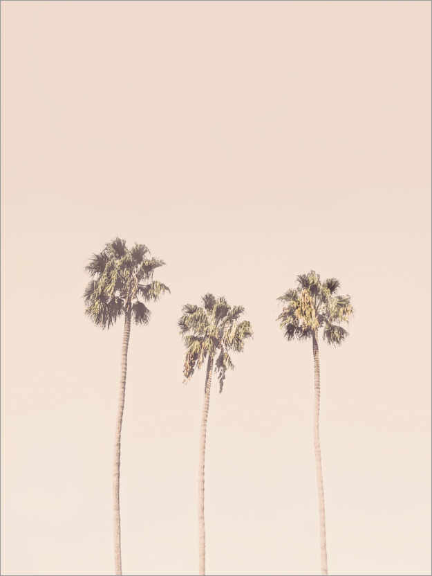 Poster Pale pink palm trees