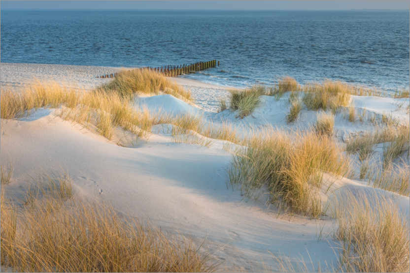 Poster Dunes on Sylt
