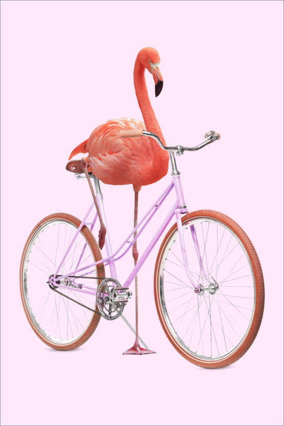 Poster Flamingo Bike