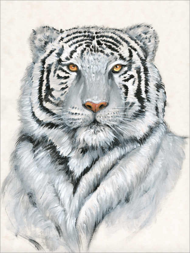 Poster White Tiger