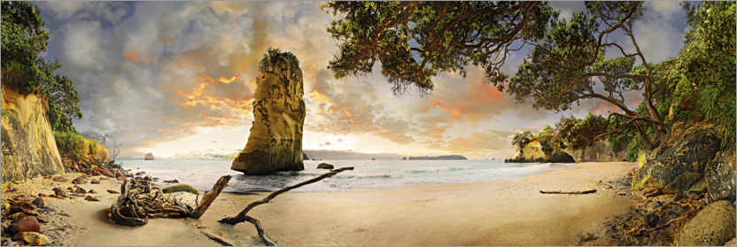 Poster Te Hoho Rock on Cove Beach
