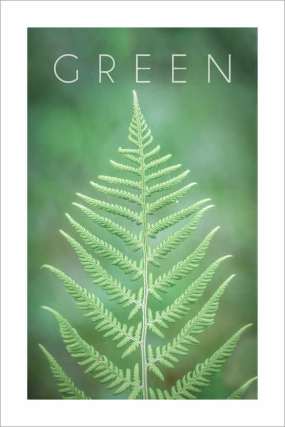 Poster Green 2