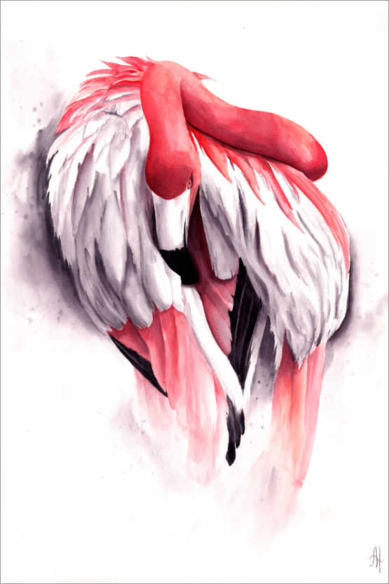 Poster Rosa flamingo
