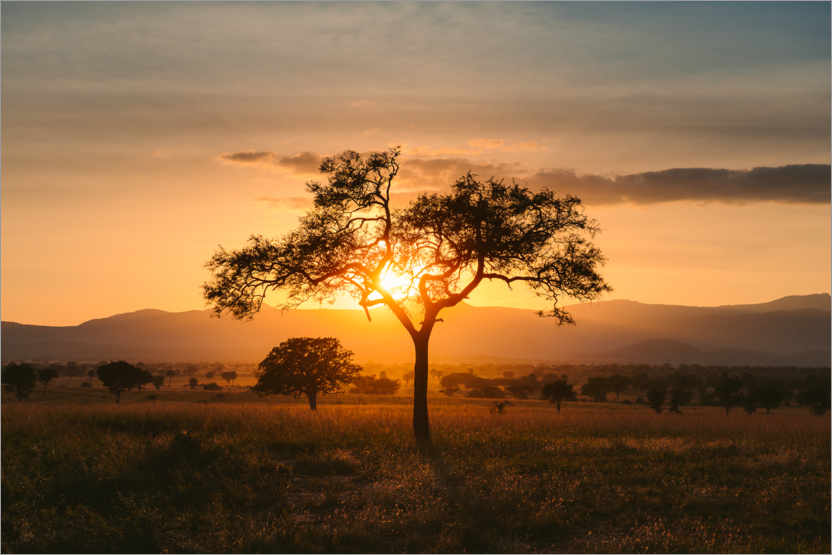 Poster Sunset in the savannah of the Kidepo Valley, Uganda