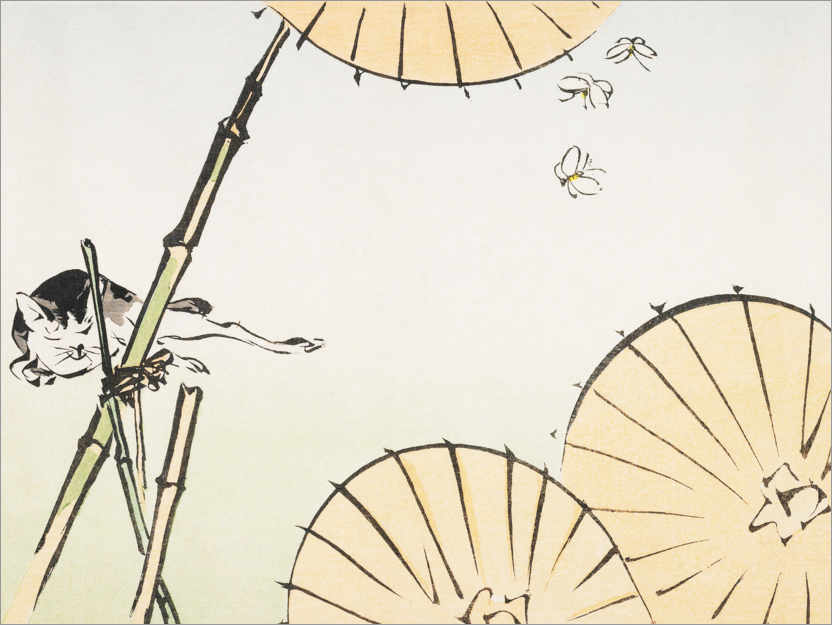 Poster Bamboo, umbrellas, a cat and butterflies