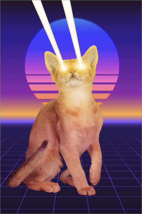 Poster Laser cat II