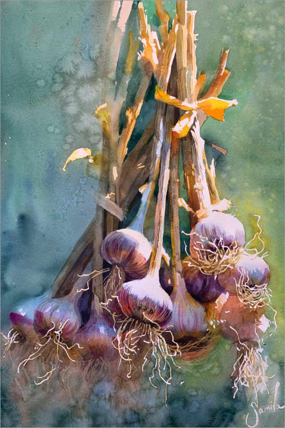 Poster Garlic Watercolour