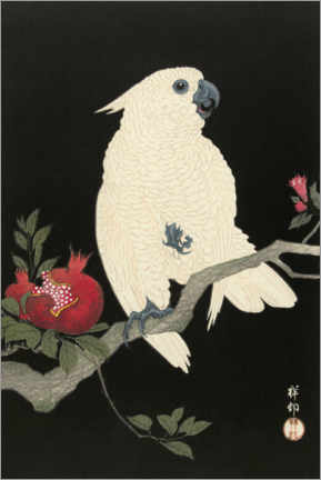 Poster Cockatoo and pomegranate