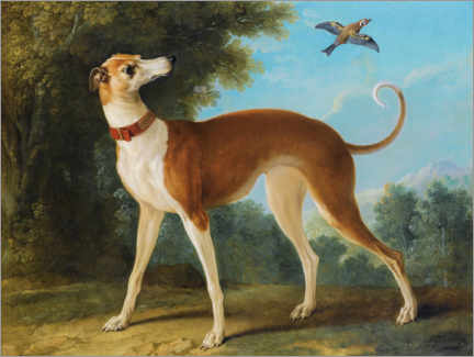 Poster  Greyhound in a landscape - Jean-Baptiste Oudry