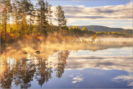 Aluminiumtavla  A beautiful misty morning by the lake - Rafal Kaniszewski