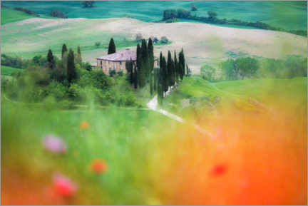 Canvastavla  Tuscany country house in the flower field - Arnold Schaffer