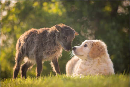 Canvastavla  Animal friendship - Wiebke Haas