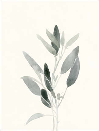 Poster Delicate botany II