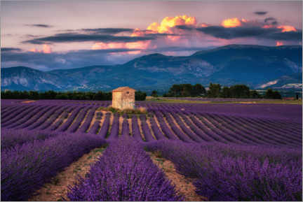 Trätavla  Evening mood in Provence - André Wandrei