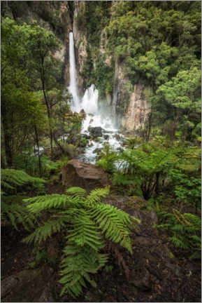 Poster Ferns and waterfalls