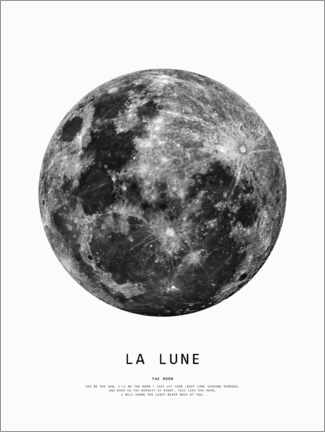 Poster The moon