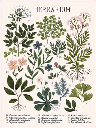 Trätavla  Herbarium - Kaja Kajfez