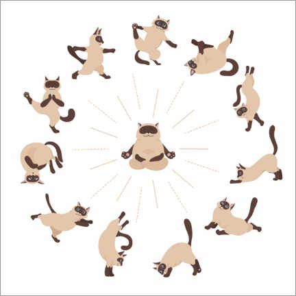 Poster  Yoga cats II