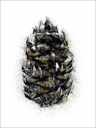 Poster Pine cone