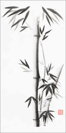 Akrylglastavla  Bamboo - Maxim Images