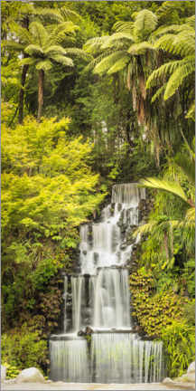 Poster Tropical waterfall in New Zealand