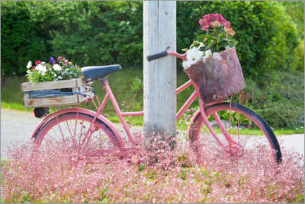 Poster Pink bike with flowers
