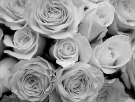 Poster Rose bouquet, b/w