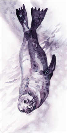 Poster  Smiling Sea Lion - Zaira Dzhaubaeva