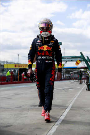 Självhäftande poster  Max Verstappen, Red Bull Racing