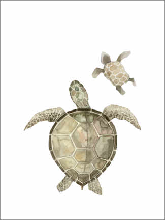 Akrylglastavla  Turtles - Mantika Studio