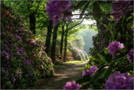 Akrylglastavla  Rhododendron path - Martin Podt