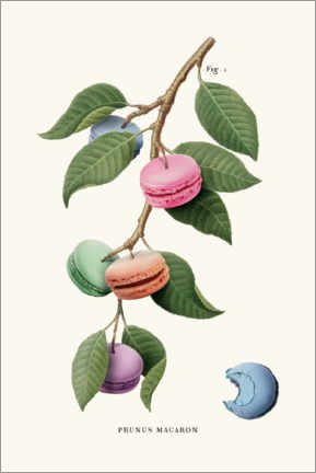 Poster Macaron Plant