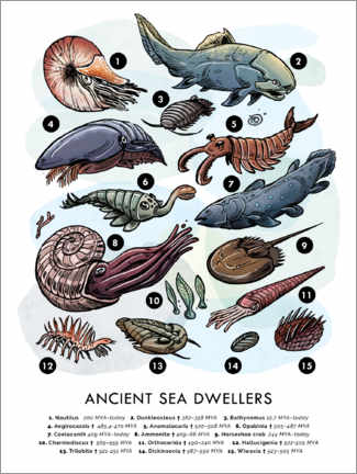Canvastavla  Ancient Sea Dwellers - Velozee