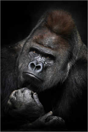 Canvastavla  Pensive Gorilla - Mikhail Semenov