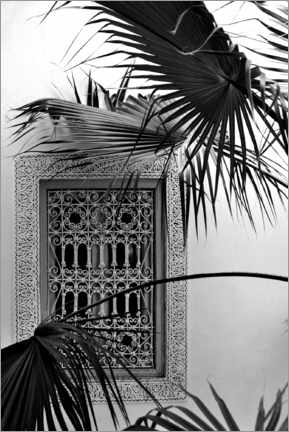 Akrylglastavla  Palm trees and garden dreams in the Orient - Studio Nahili