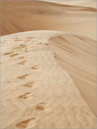 Poster  Traces in the sand - Olaf Protze