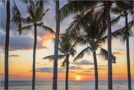 Poster Tropical Island Sunset