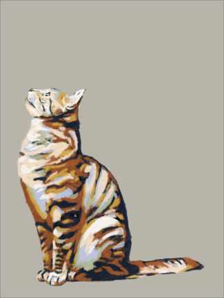 Poster  Cat looking up - Studio Carper