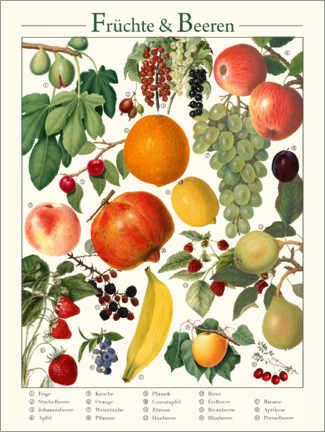 Akrylglastavla  Vintage Fruits &amp; Berries (German) - Vintage Educational Collection
