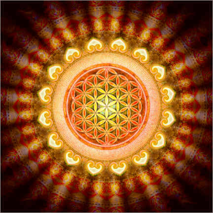 Poster  Flower of life - Sun - Dirk Czarnota