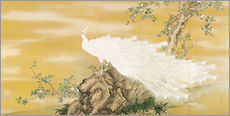 Självhäftande poster  White Peafowl - Mochizuki Gyokkei