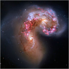 Galleritryck  Antennae colliding galaxies - Robert Gendler