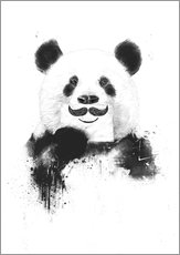 Galleritryck  Funny panda - Balazs Solti
