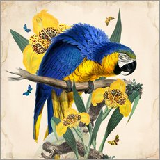 Självhäftande poster  Oh My Parrot IX - Mandy Reinmuth