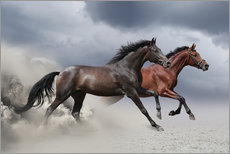 Galleritryck  Horses in the storm