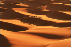 Galleritryck  Saharaöknen