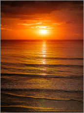 Självhäftande poster  Sunrise in the sea