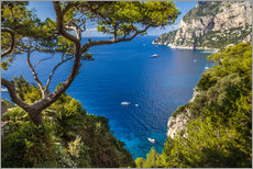 Galleritryck  Wonderful sea view in Capri (Italy) - Christian Müringer